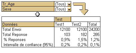 Cours Excel - Tableaux croiss dynamiques (TCD) et champs calculs